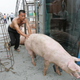 Photo: China Photos/Getty Images